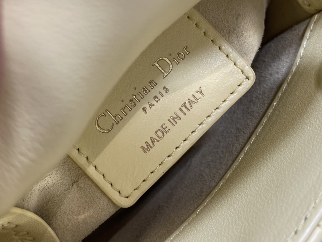 lady D*or micro bag