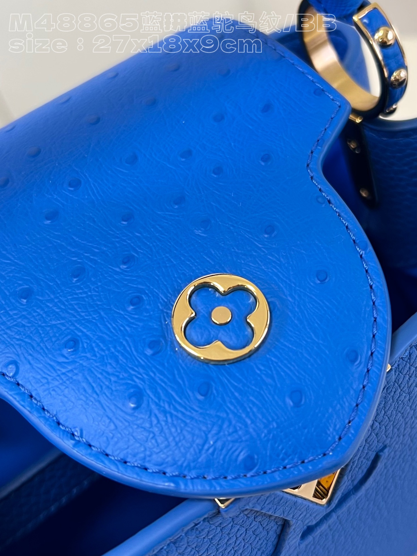 l**is V*t*n capucines bb