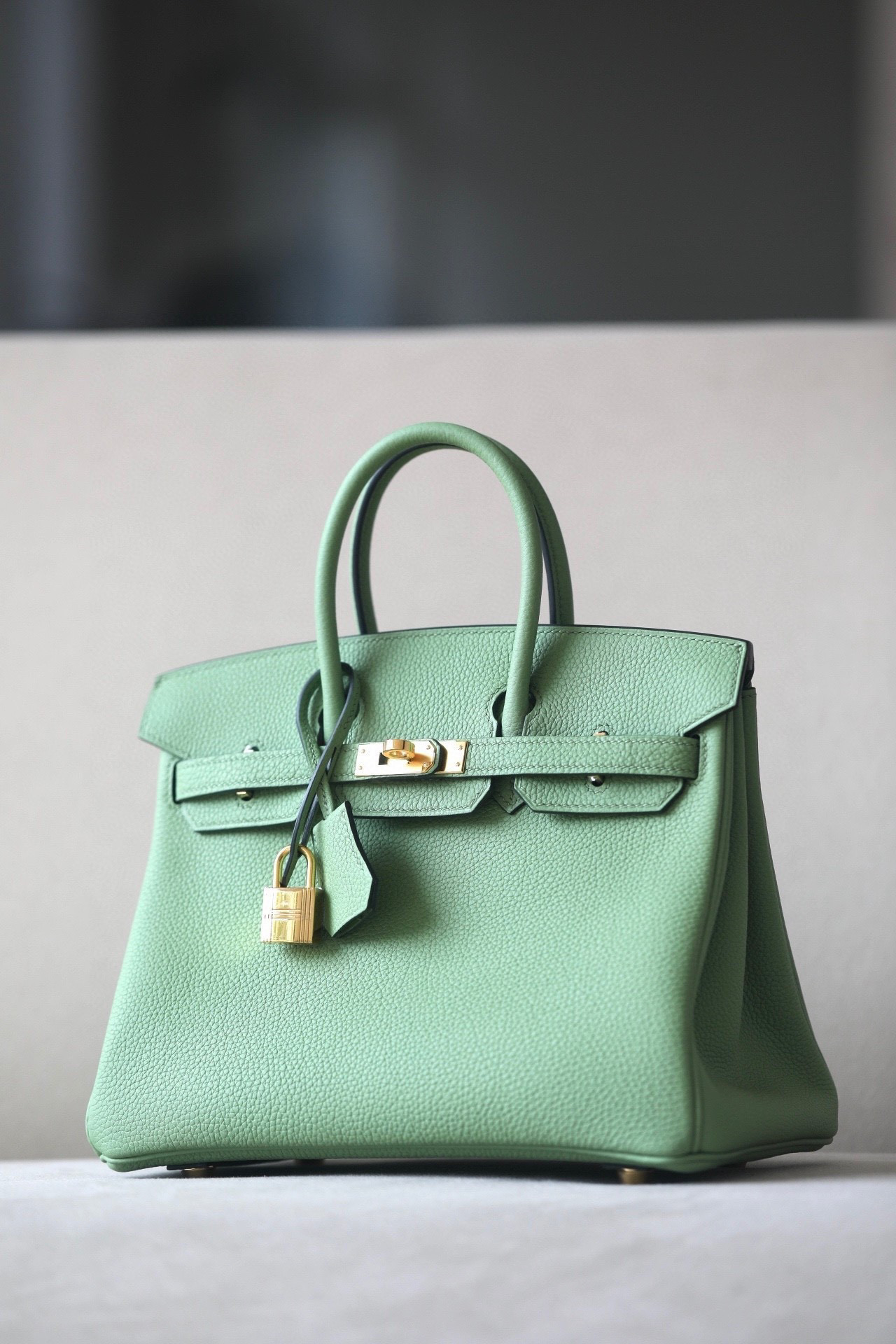 H**mes birkin 25